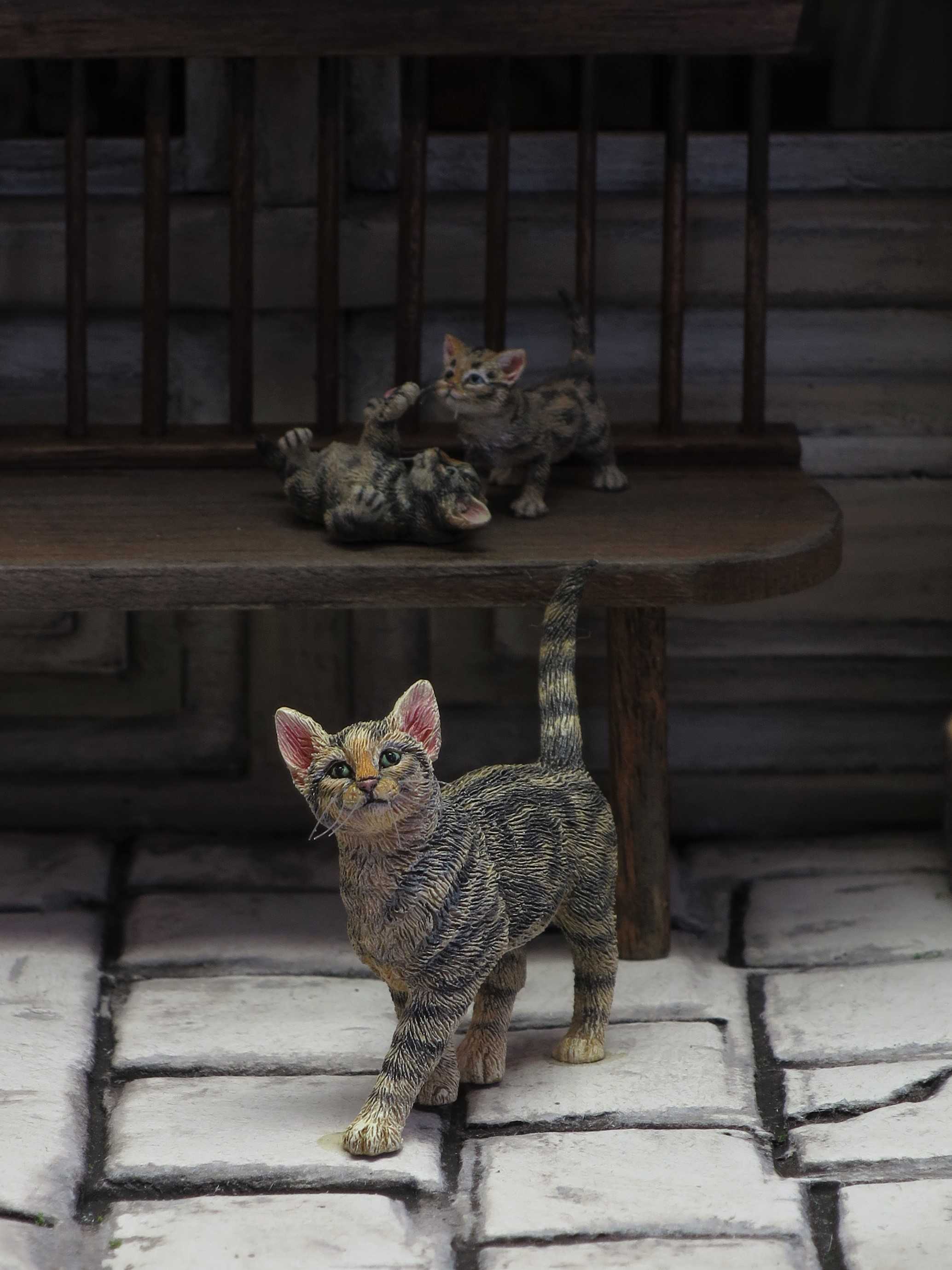 Cat and kittens