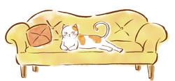 ソファーは猫のもの