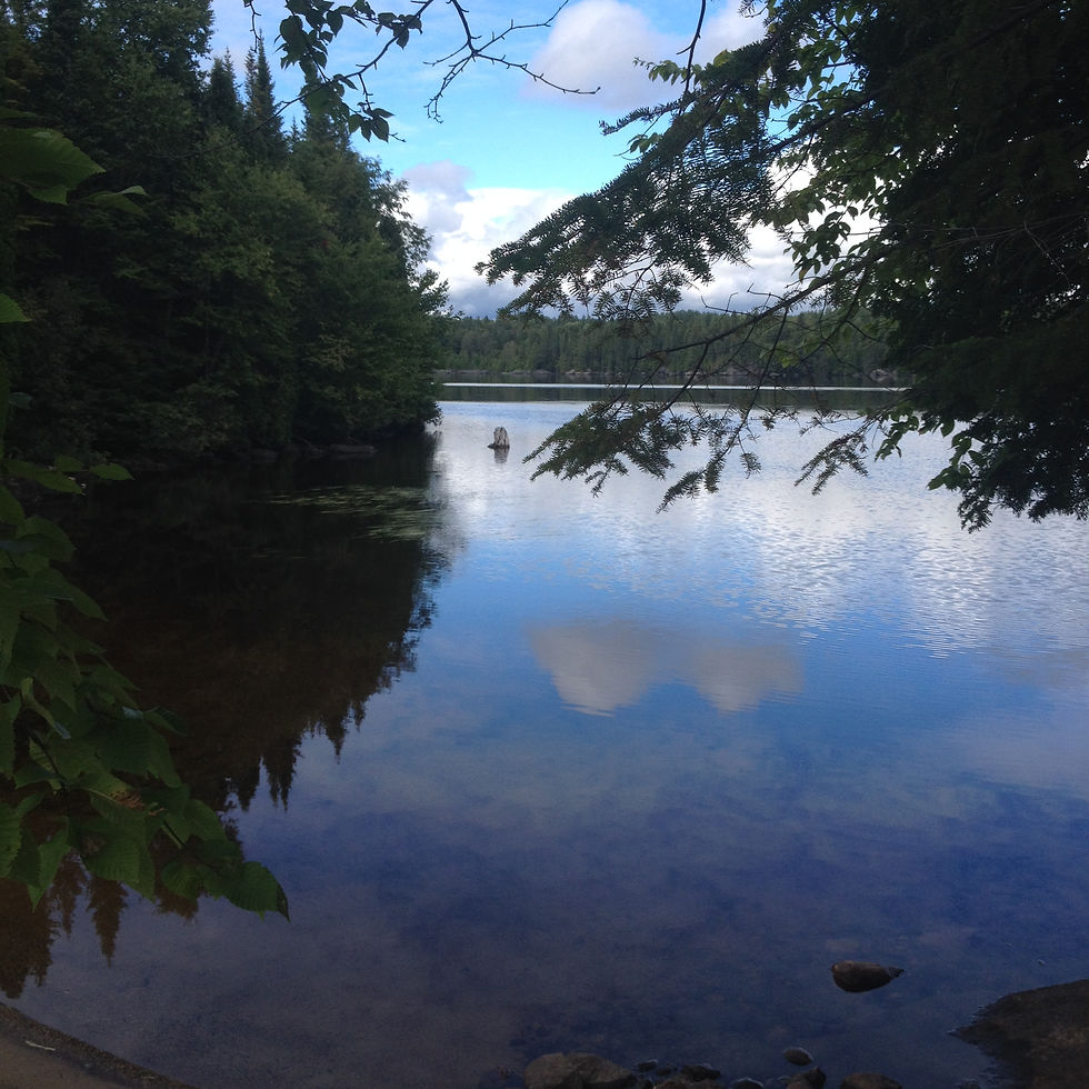 You Can't Change the Mind With the Mind