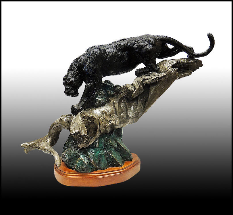 "Sleek Shadow" Lorenzo Ghiglieri