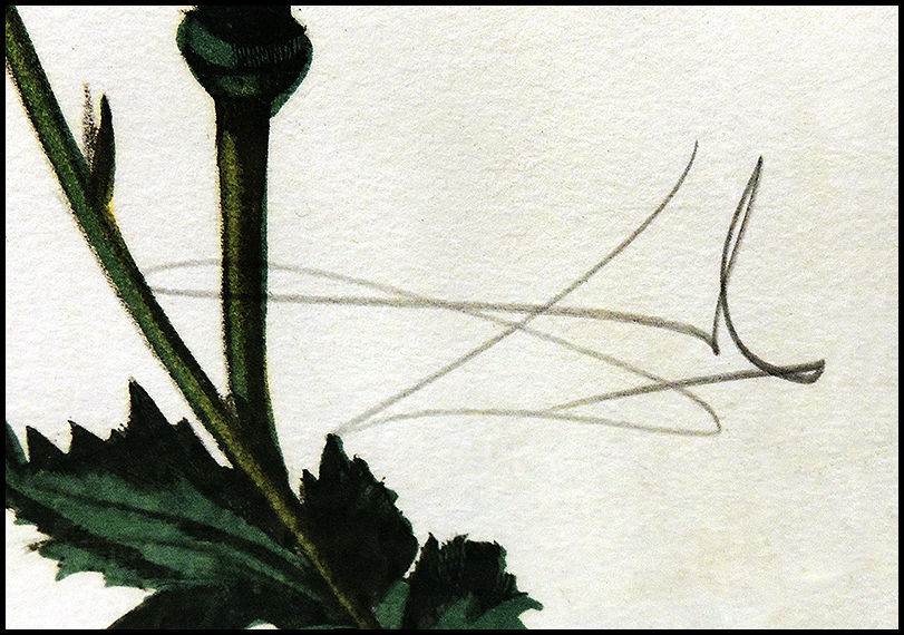 Thumbnail: "Autumn" by Salvador Dali