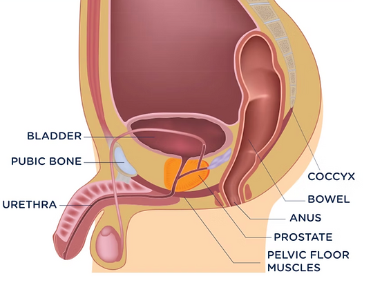 Screenshot 2025-12-30 at 3.07.08 pm.png