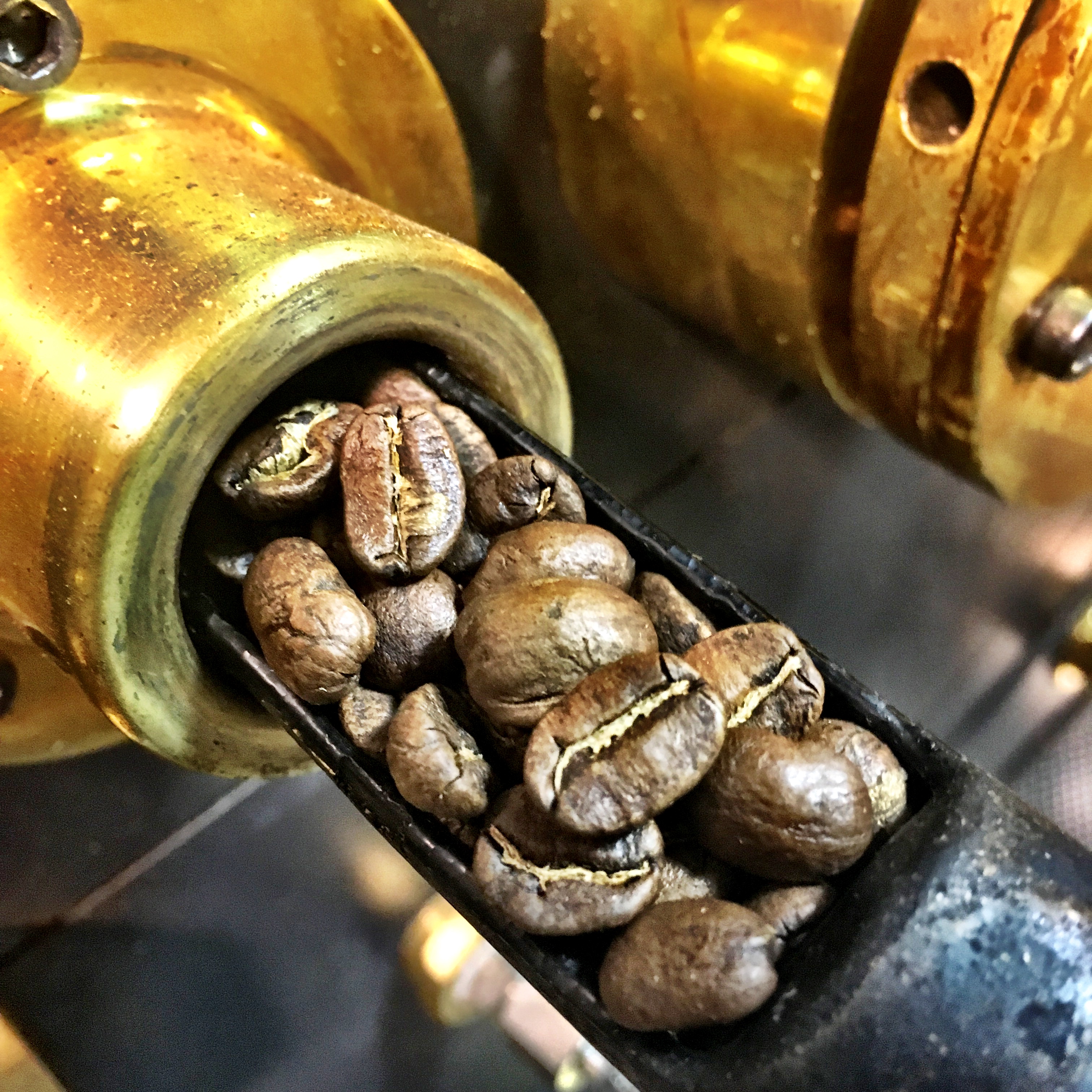 Looney Bean Roasting Company