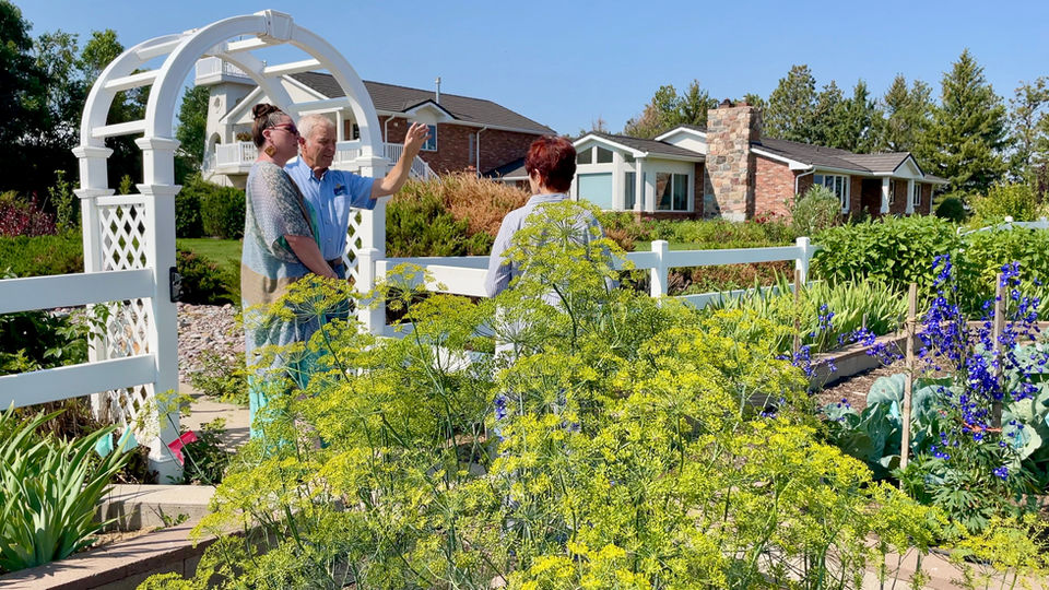 Edible garden.jpg