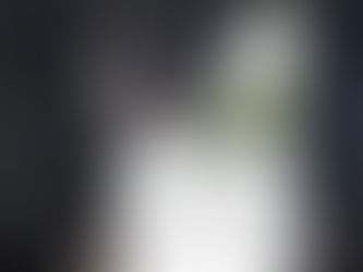 Trump Stakes Re-election on People Dying