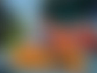 Wear Orange Demonstration for Gun Violence Awareness