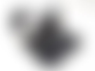 Traditional Camera Stores Closing. Why?