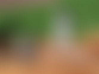 History Unfolding in Major League Baseball