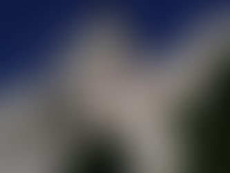 Congressional Inaction on Antisemitism