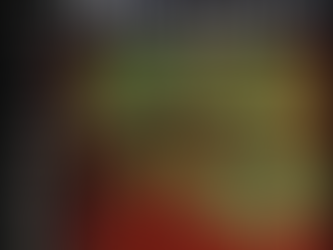 American Symbols of the Mockingbird