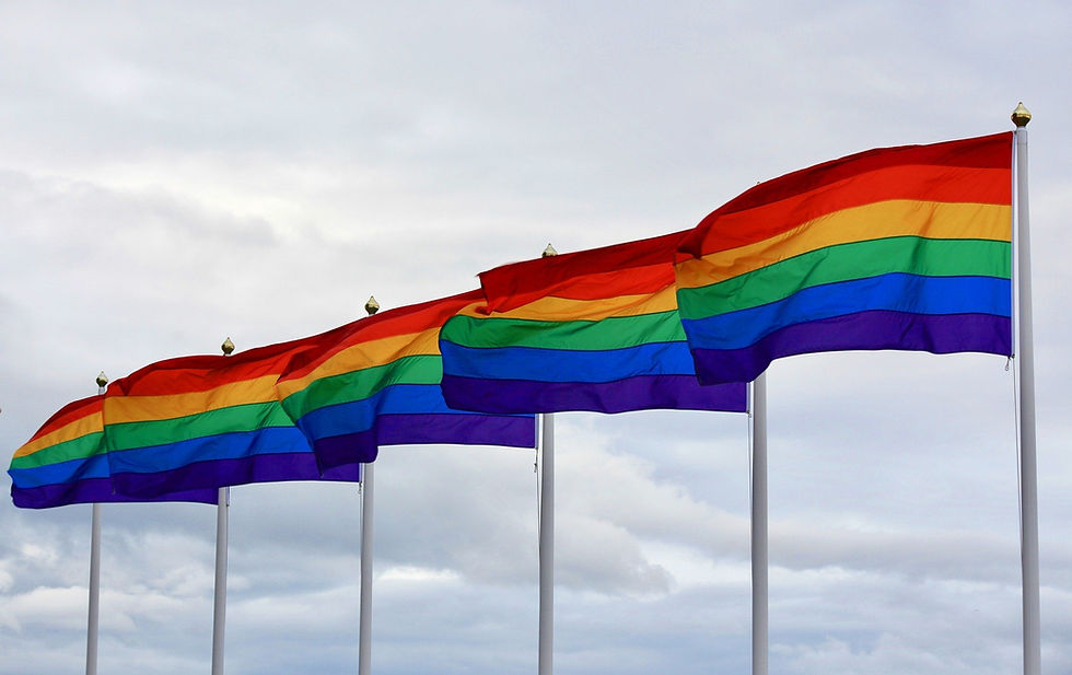 Gay pride flags