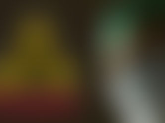 CORONAVIRUS: Idiot in the White House