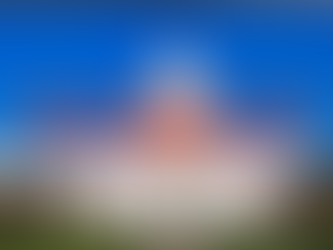 The Impeachment Halftime Show