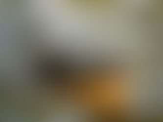 Filling (Not Draining) the Swamp