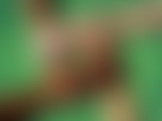 Seven Ways to Take Action for Racial Justice