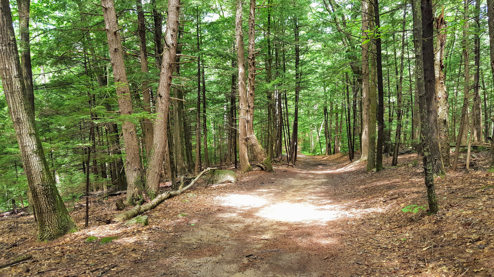 20160802_114819.jpg