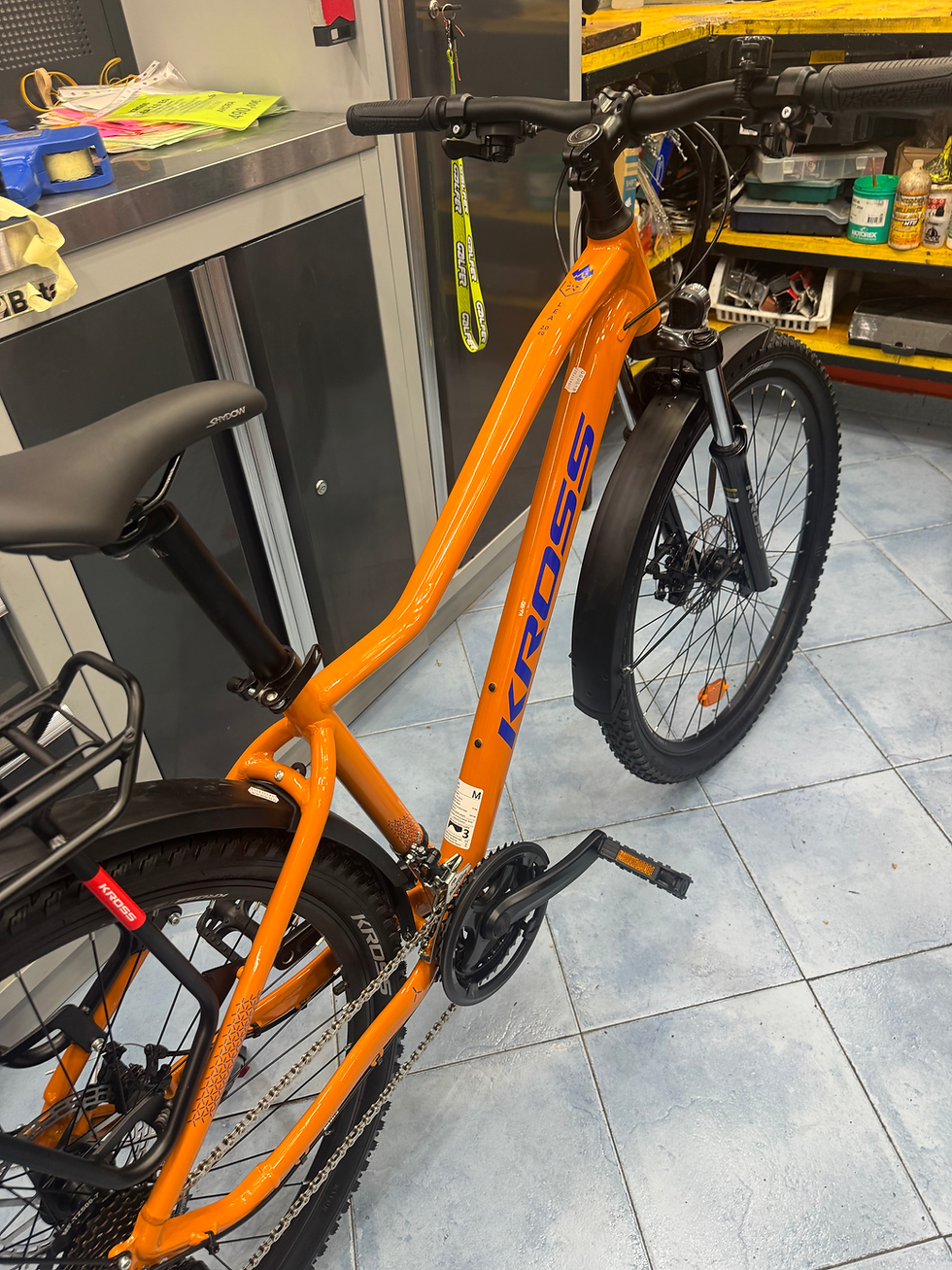 Miniatura: Kross Lea 2.0 27’5 m EQ 