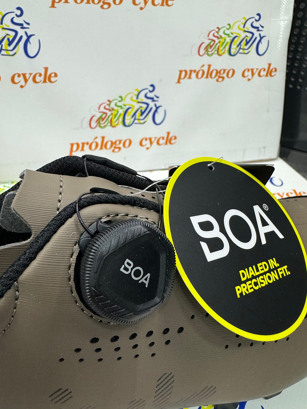 Miniatura: Spiuk senda marrón 