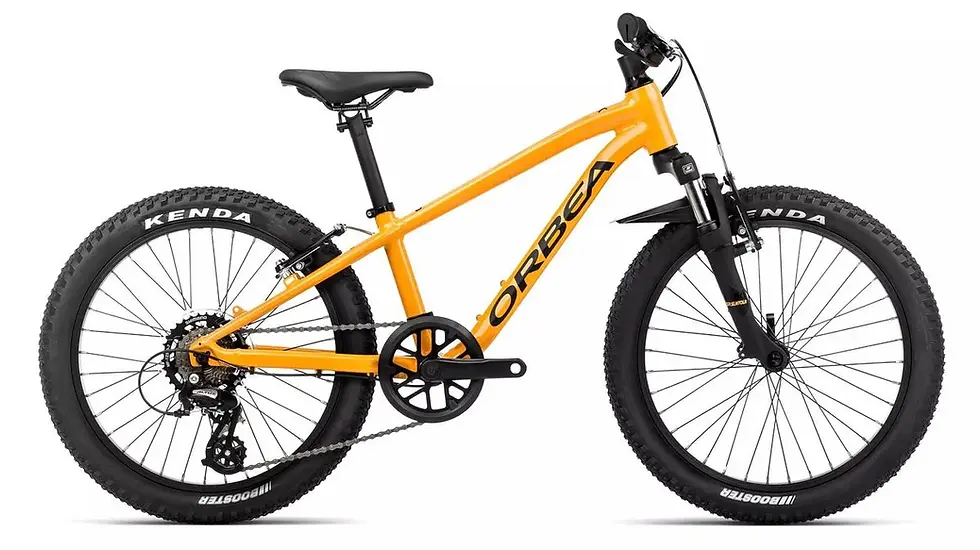 Miniatura: Orbea mx20xc 