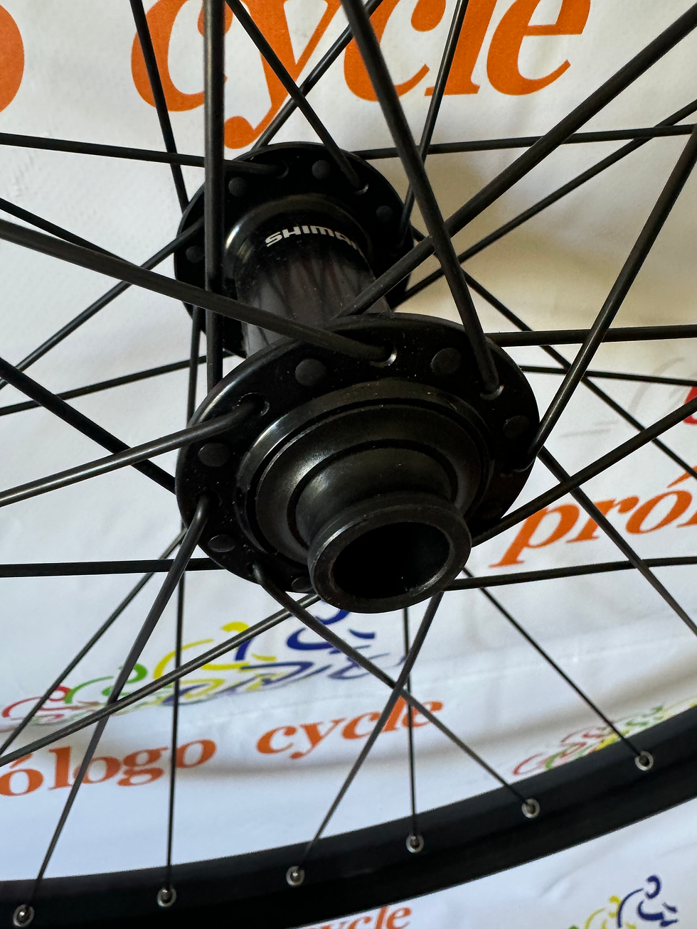 Miniatura: Rueda 29”delantera 15x110 