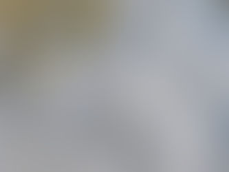 Biberfamilie in Züri Leutschenbach 蘇黎世海狸家族