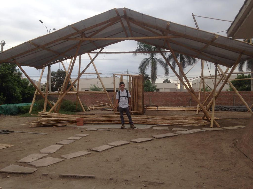 Estructura en Bambú