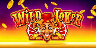 wildjoker