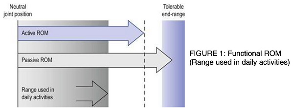 FIGURE 1: Functional ROM (Range used in daily activities)