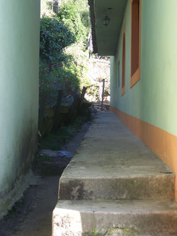 Left Side