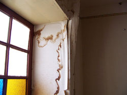 Walls