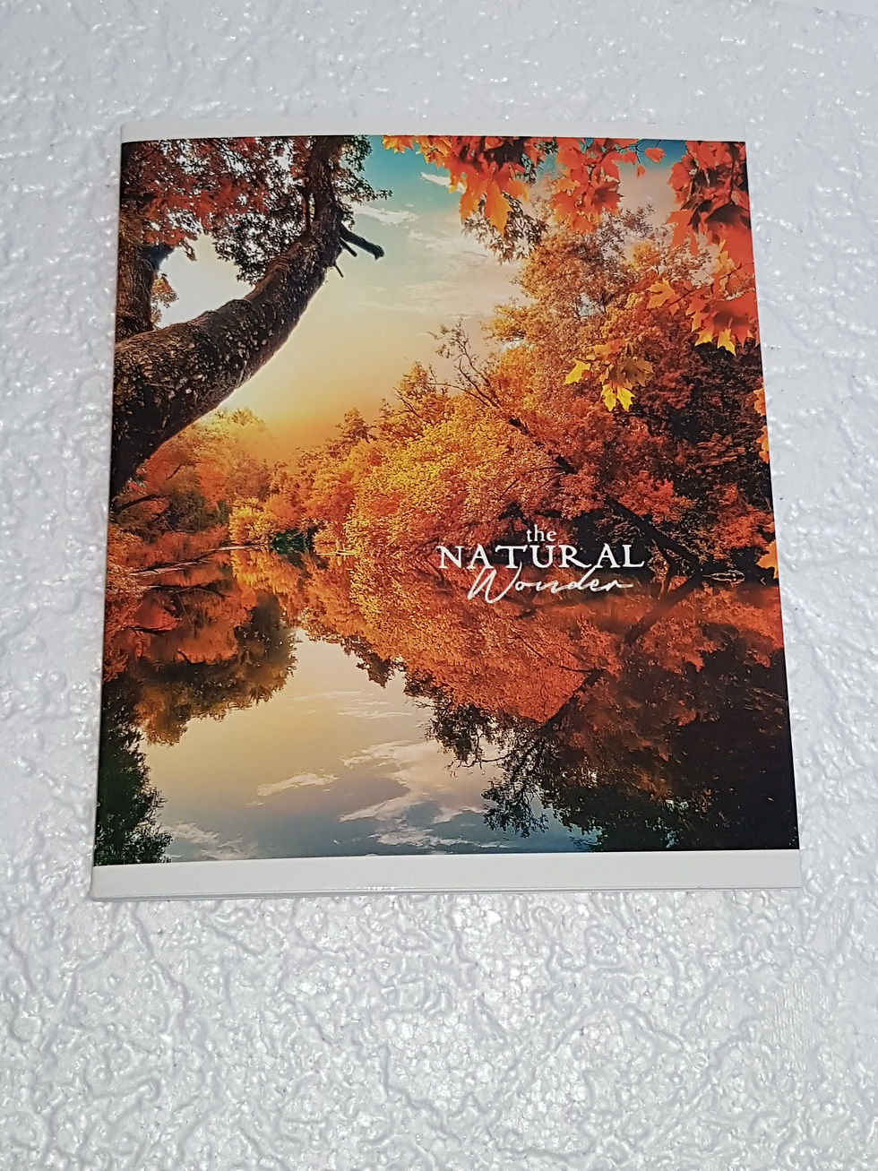 Миниатюра: Тетрадь А5 формата, 96л,линия