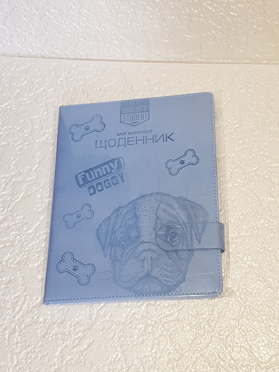 Миниатюра: Щоденник 48 арк,кожзам