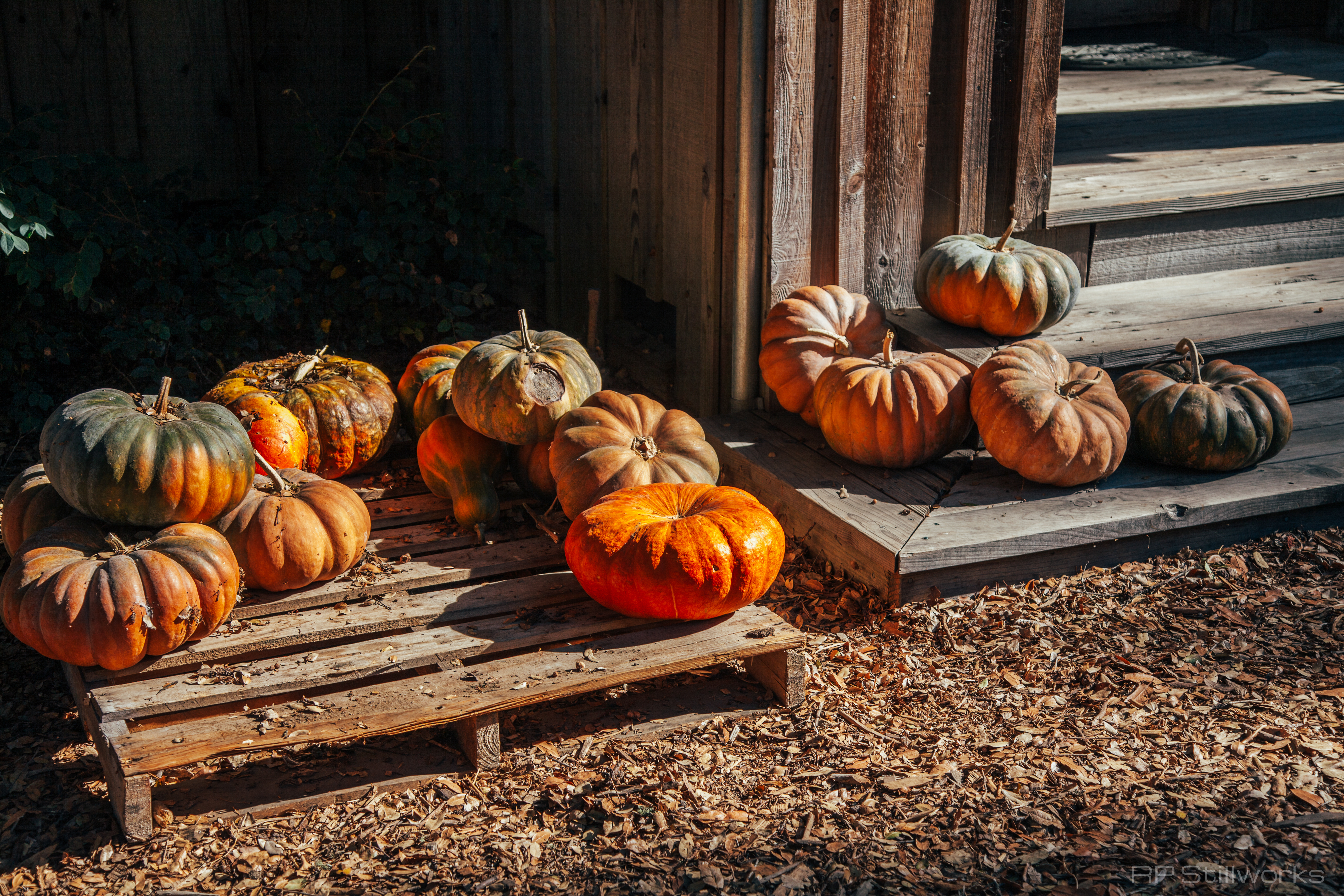 "Fall For You"
