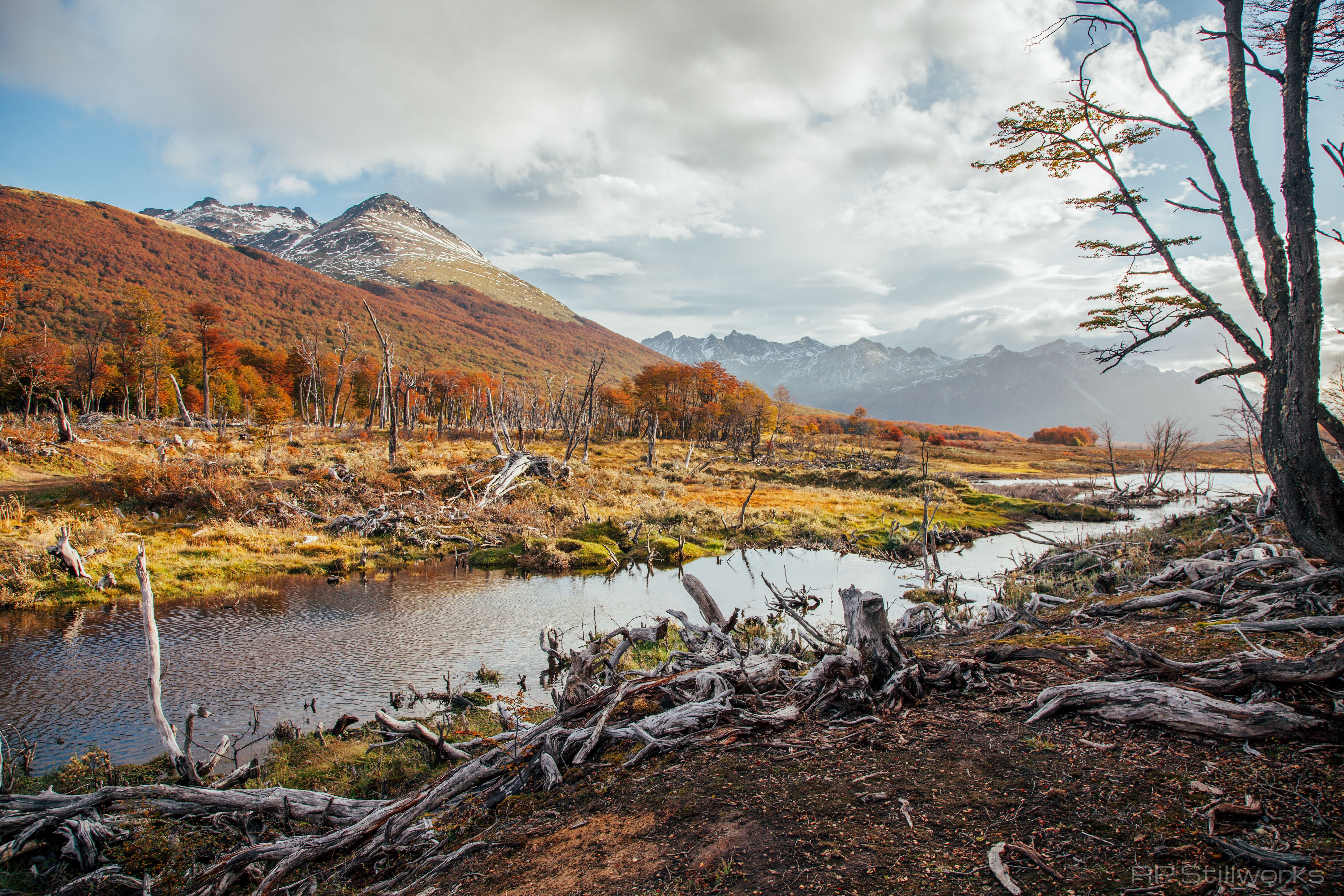 "Tierra del Fuego"