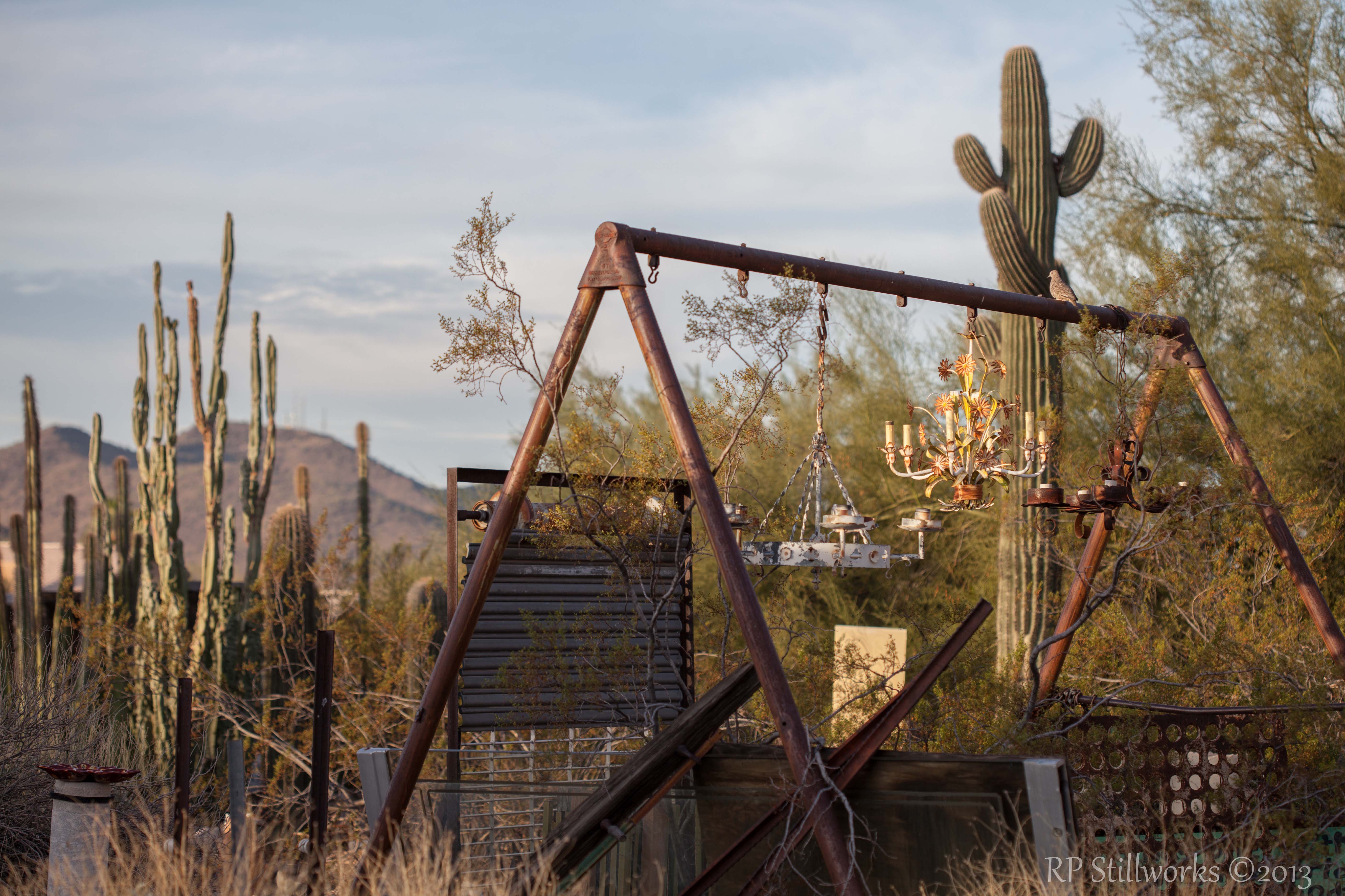 "Eclectic Desert"