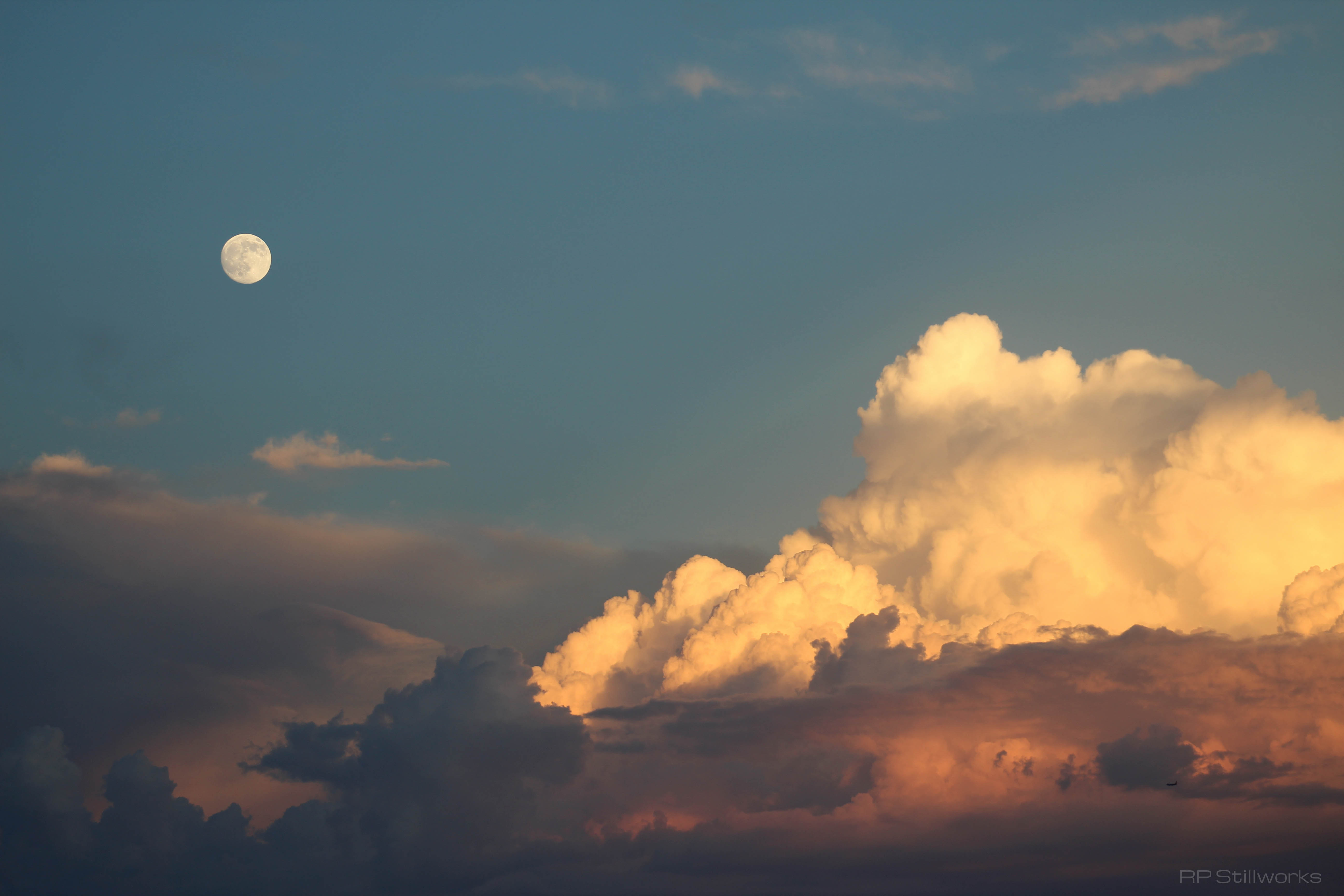 "Night & Day"