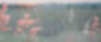 Youtube Banner (4)_edited_edited_edited_edited.jpg
