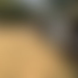 Post Intergenerational Integration, Inter Community Integration and annual BBQ- 21 July 2018