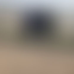 ‘’Senior Citizens East Coast Excursion - Tuesday 25 June’’