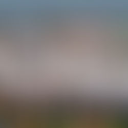 12th YALAMBAR HANG CUP - 9 A Side Football Competition - FELTHAM COMMUNITY COLLEGE - SAT 20 APR 19