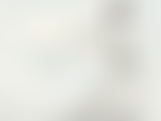 Pantone 2026 “Cloud Dancer”: Build a Notebook & Stationery Collection