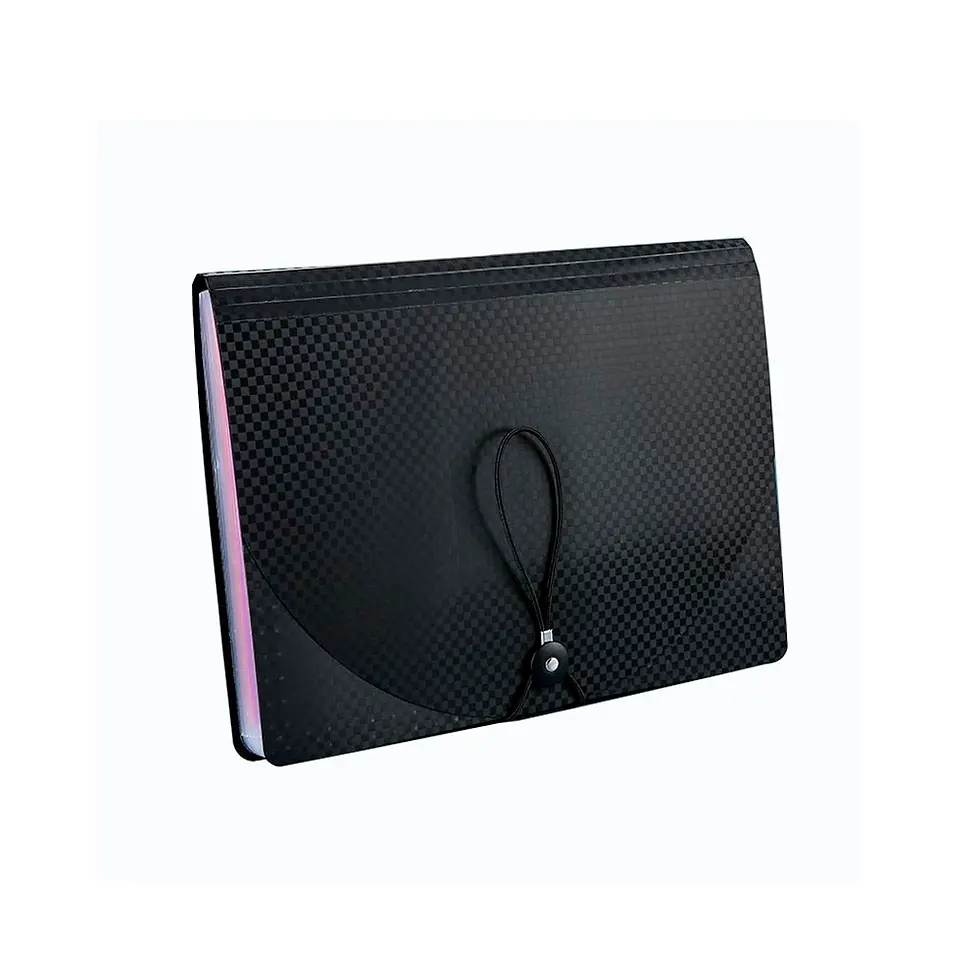 Portable Expanding File Folder