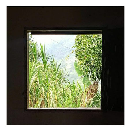 "El Corozo", lecciones sobre memoria  y asociatividad