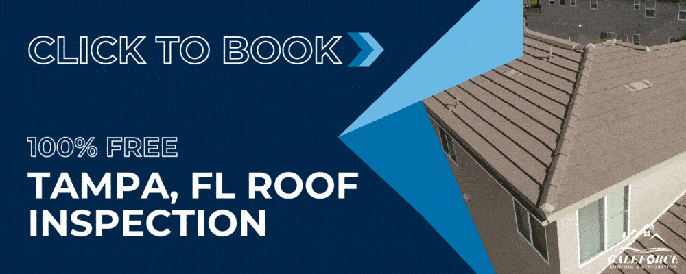 100% free tampa, fl rood inspection