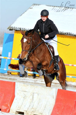 Дольчи Зарра весна 2012
