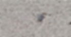 Reinforced Autoclaved Aerated Concrete