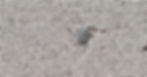 Reinforced Autoclaved Aerated Concrete