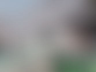 3/22〜3/28の鶴川落語会