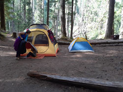 Campground from eye level