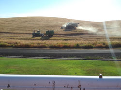 Harvest